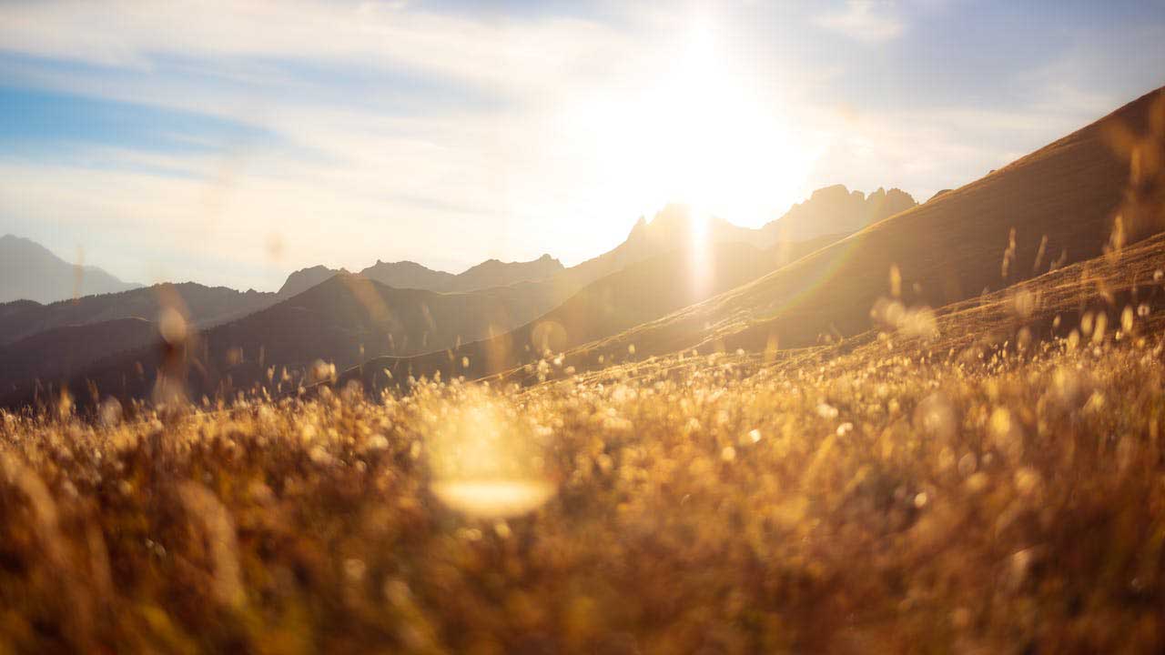 Paysage-liberte